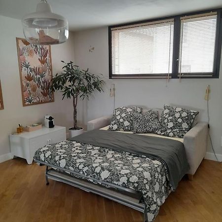 דירות לה מאנש Joli Studio Avec Stationnement Gratuit Dans La Rue מראה חיצוני תמונה